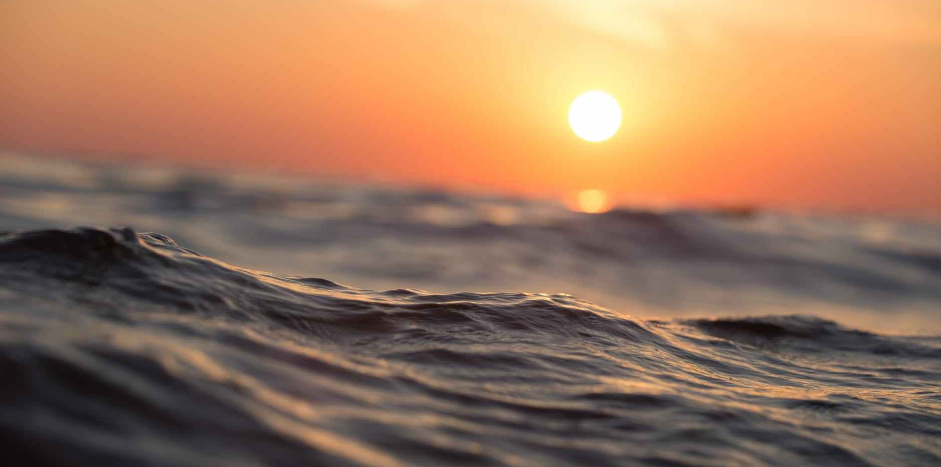 beach dawn dusk ocean